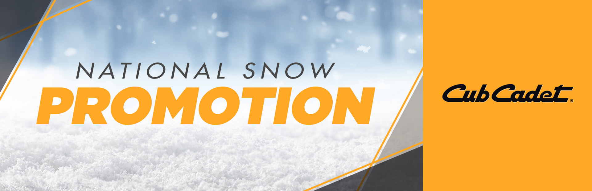 Cub Cadet: National Snow Promotion